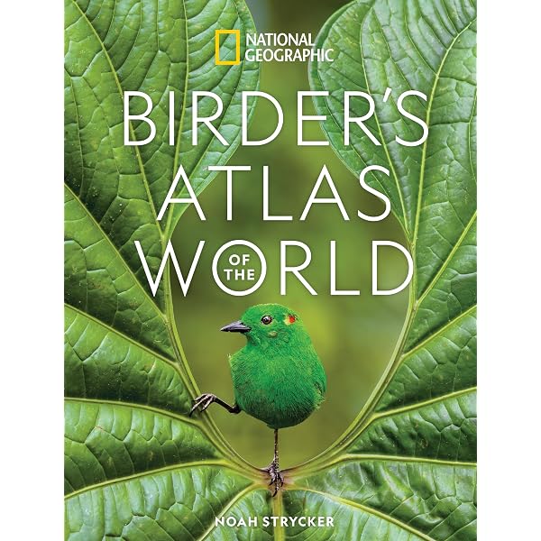 National Geographic Atlas Of The World: National Geogaphic Society